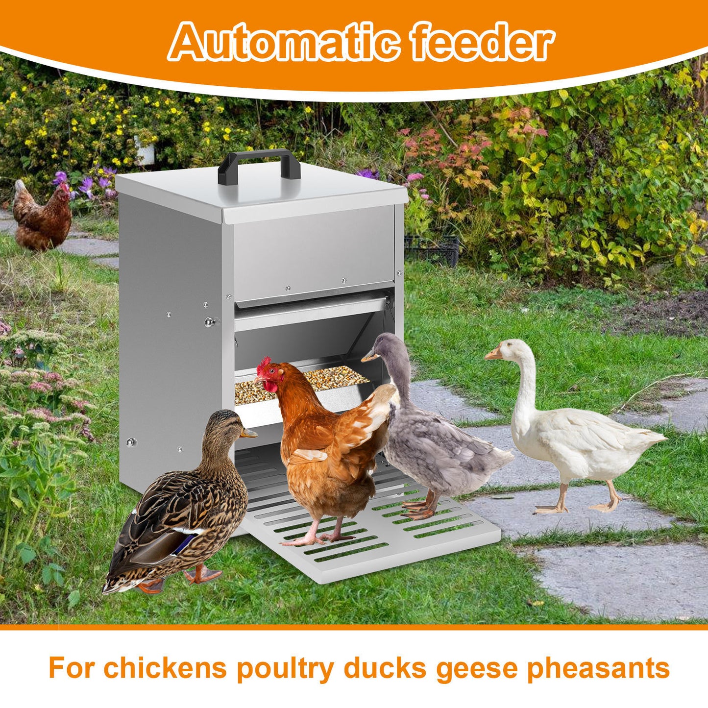 Hebitod Automatic Chicken Feeder Galvanised steel 5kg