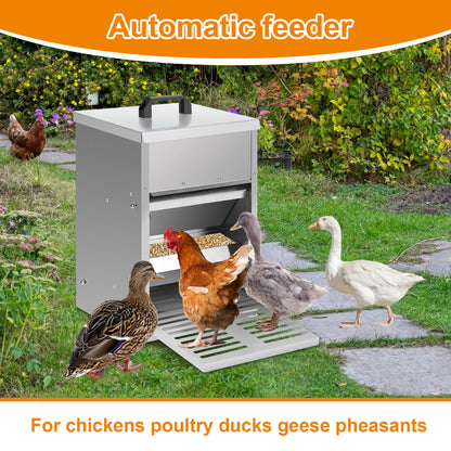 Hebitod Automatic Chicken Feeder Galvanised steel 5kg
