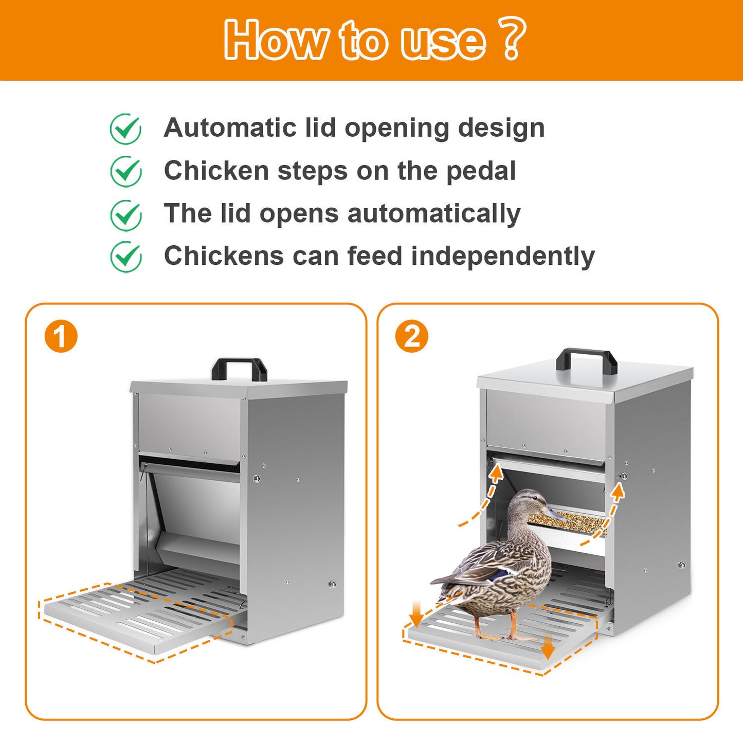 Hebitod Automatic Chicken Feeder Galvanised steel 5kg